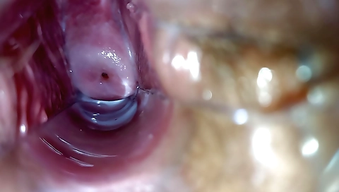 Sexy amateur girl with a gorgeous body takes off her sexy lingerie