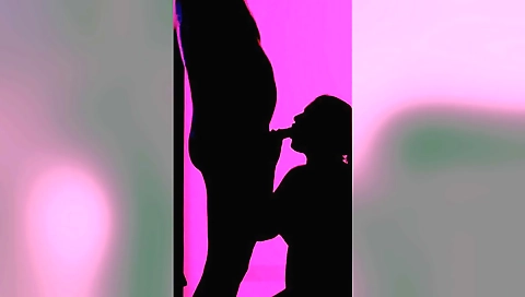 Indian girl in a white shirt gives a blowjob in homemade video