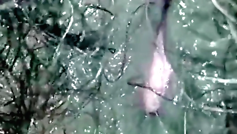 Hot amateur hairy pussy handjob video 044f7a5f4453669a3a0b02a24b8e127e